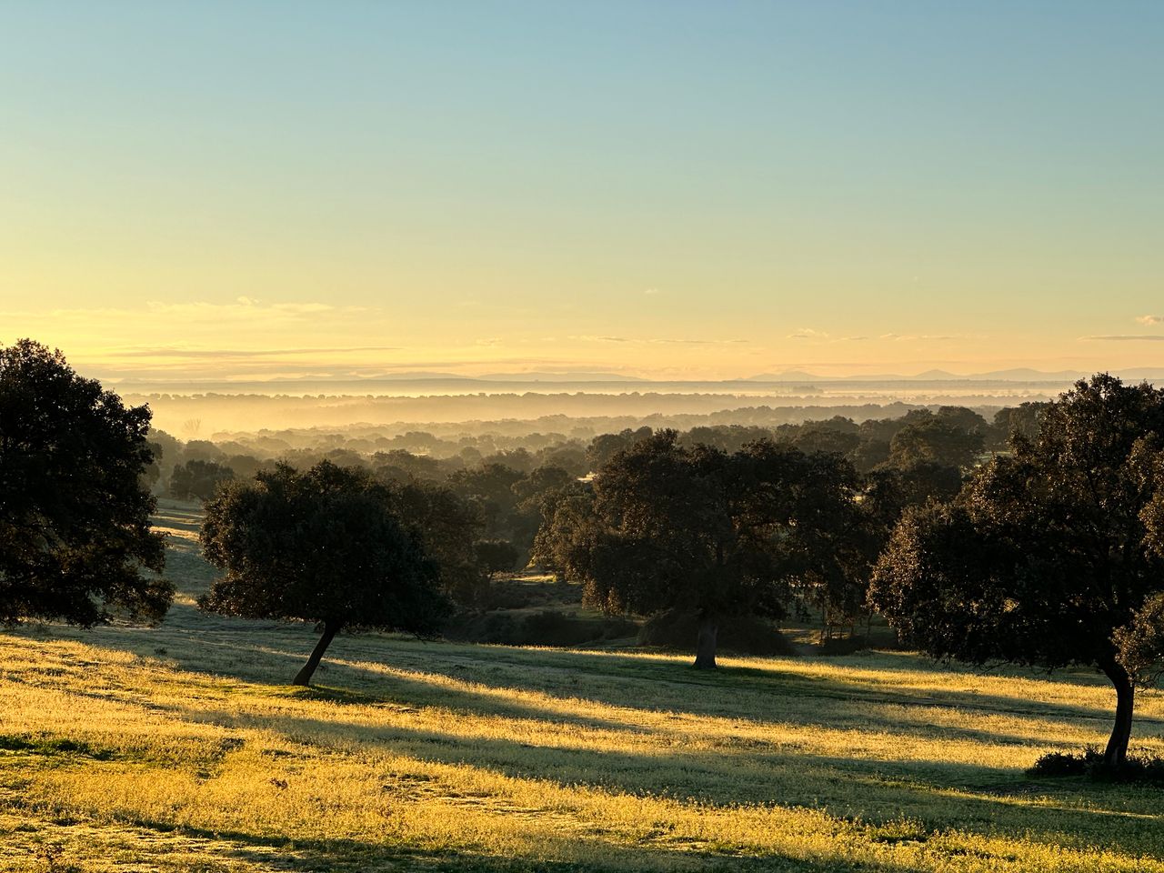 Things to Do in the Sierra de San Vicente: A Remote Worker's Guide